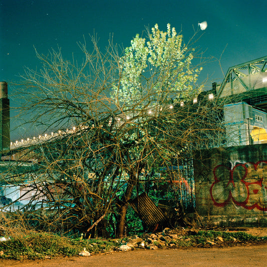Gowanus Wild - Spring Tangle