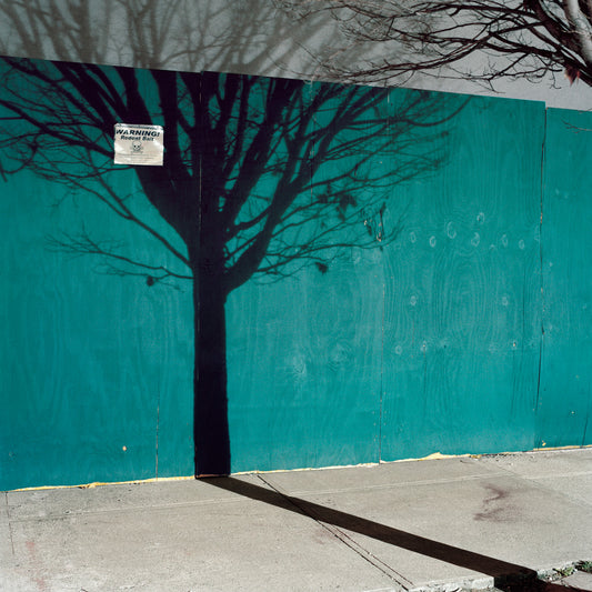 Gowanus Wild - Tree Shadow