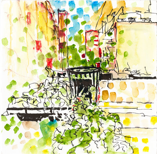 Young Growth, Hard Edges