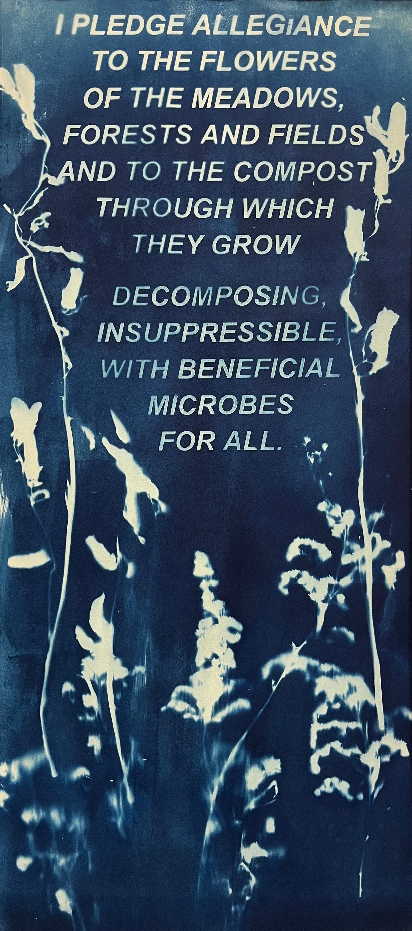 I Pledge Allegiance to the Flowers