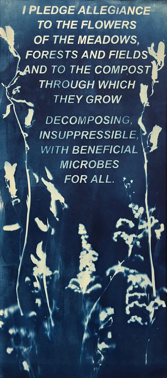 I Pledge Allegiance to the Flowers